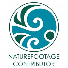NatureTold Video Profile