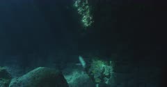 Camera tracks a pair of Sea Lions as they playfully swim in rocky coastal environment. Light rays shining down from above. 