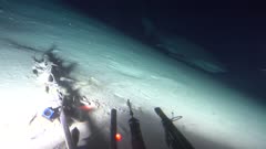 Sixgill Shark Deep Sea Expedition