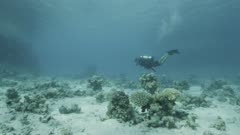 Scientists working on coral reef