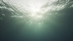 pretty shot of sunlight coming in through ocean surface