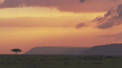 African savanna landscape.Golden hour red sky