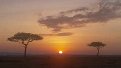 African savanna landscape. Sunrise time lapse