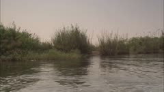 Okavango Delta Upriver Tracking Shot From Boat Looking For Crocs