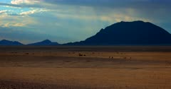 Wide shot of four  rare wild feral Namib Desert Horses walk away from the water point back to the stark desert and the rain pouring over the mountain in the distance.