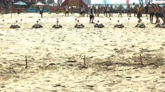 boy's surf life saving beach flags race at mooloolaba on the sunshine coast of australia