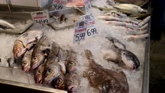 fresh fish on ice in a fishmonger's store in portland, maine