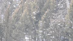 17% slow motion clip of snow falling at yellowstone national park during a winter storm