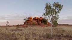 sunset shot of the devil's marbles boulders and a gum tree in the northern territory of australia