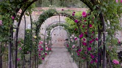 a gimbal steadicam shot walking through an archway of rose bushes in the generalife area of the ancient palace-fortress alhambra at grenada, spain