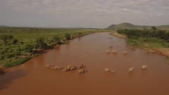 Aerial view of African elephants herd crossing a brown river, wide shot