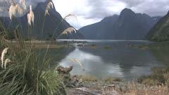 New Zealand. Clouds over Milford Sound with grasses in foreground.