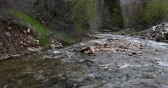 Mountain canyon valley river forest slide pan. Beautiful clear water mountain stream from springtime snow melt. Fallen timber, logs and branches with rocks form waterfalls. Scenic nature in natural environment. Mt Nebo National Scenic Byway. Landscape in Rocky Uinta Mountains canyon and valley. DCI 4K video footage. Despain Rekindle Photo. 5399