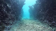 Moving in a natural trench underwater carved into the seafloor on the outer reef, south Pacific ocean, French Polynesia