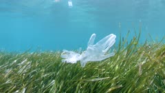 Plastic waste pollution underwater in the sea, disposable gloves falling on seagrass Posidonia oceanica, coronavirus COVID-19 pandemic, Mediterranean sea, France