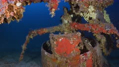 Wreck of the Wildcat (airplane ww2)
