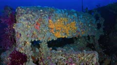Wreck of the Donator in the Mediterranean Sea - Boat's Helm