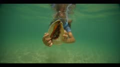 A Child Picks Up A Sea Shell From The Sea Floor And Swims With It Towards The Camera