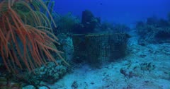 Underwater Marine Debris, such as traps and lines, are growing issues for many Caribbean nations