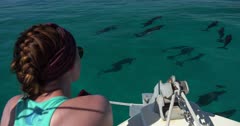 Atlantic Spotted Dolphins (Stenella frontalis) swim and socialize near a boat in the Bahamas while round woman looks on