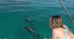 Atlantic Spotted Dolphins (Stenella frontalis) swim and socialize near a boat in the Bahamas while round woman looks on