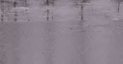 4K Bufflehead duck dives under frozen river, zoom in - SLOG2 
