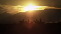 Silhouetted cowboys riding at sunset, kicking up dust. Shot in slow motion with a lens flare.