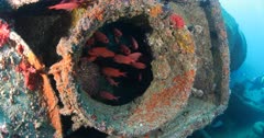 Shipwreck, reefs of Sea of Cortez, Pacific ocean. Isla Espiritu Santo, Baja California Sur, Mexico.