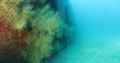 Shipwreck, reefs of Sea of Cortez, Pacific ocean. Isla Espiritu Santo, Baja California Sur, Mexico.