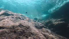 Mediterranean underwater landscape just under the surface