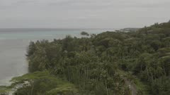 Tahiti Aerial Coastline greenness