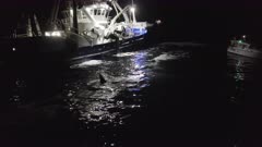 herring fishing boat hauls up its net by night with orca, killer whale around