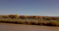 fall cottonwoods along Rio Grande east of San Antonio, New Mexico