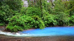 at the confluence of two rivers the blue river Rio Celeste is formed, Parque Nacional Volcán Tenorio, Costa Rica, Central America