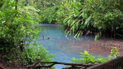 the blue river Rio Celeste, Parque Nacional Volcán Tenorio, Costa Rica, Central America