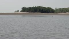 Sailing past a dried out part of the Rio Negro in the Amazon rainforest in Brazil