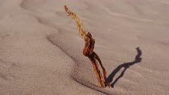 Mesquite Stalk Shadow Crawls Like a Sun Dial across the Desert Sand Dunes of Death Valley National Park.  Time-Lapse.