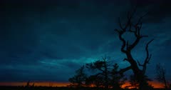 Bristlecone Pine at Twilight #6. Slow Time-Lapse.