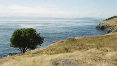 Washington State - San Juan Island - Grassy Meadow Coastline