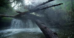 Waterfall in steelhead creek, standing in creek