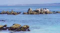 Monterey California shoreline, rocks and seabirds offshore, small waves