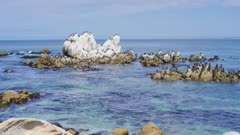 Monterey California shoreline, pan to big rocks with more birds and guano