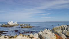 Monterey California shoreline, lower thirds
