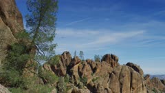 Single California condor glides over rock formations, Endangered Species, Pinnacles National Park