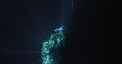 A diver explores a Cenote