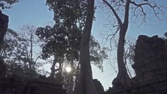 Ta Prohm temple in Angkor Wat, Siem Reap, Cambodia, panoramic view 360 degrees, 4k
