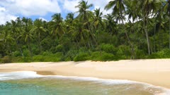 beautiful landscape with sea waves on tropical beach and coconut palms 4k
