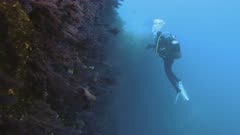 Scuba Diver dives in front of rich Mediterranean Reef wall
