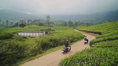 Landscape view of two scooter on a road surrounded by tea plantations, in Munnar, India