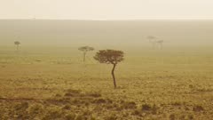 Aerial shot of African landscape in Maasai Mara National Reserve from hot air balloon ride, Kenya, Africa Safari adventure tour over empty plains in Masai Mara North Conservancy